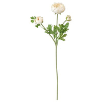 SMYCKA - Artificial flower, Ranunculus/white, 52 cm - best price from Maltashopper.com 20335714
