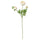 SMYCKA artificial flower, Ranunculus/white