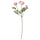 SMYCKA artificial flower, Ranunculus/pink