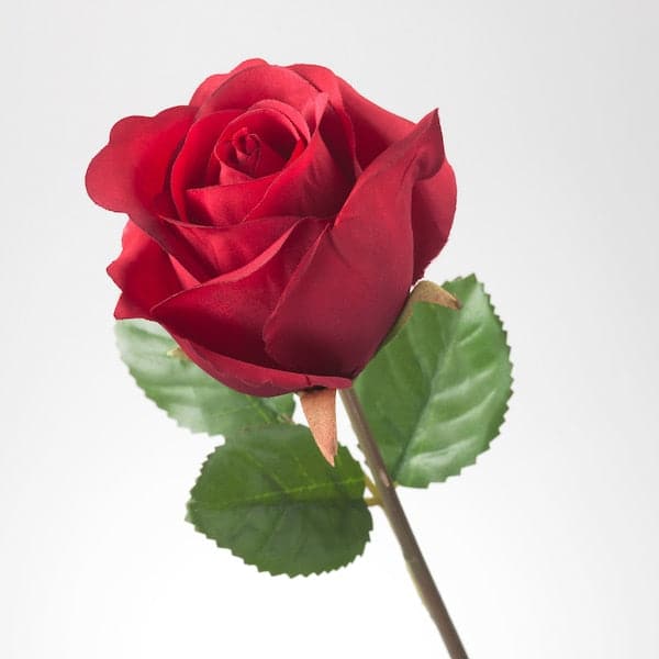 SMYCKA - Artificial flower, Rose/red