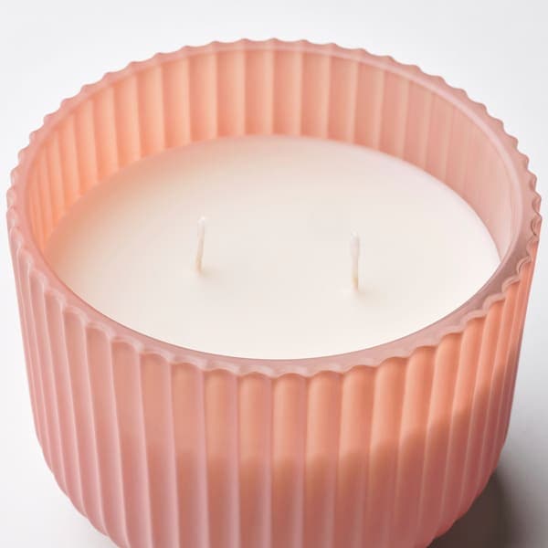 SOCKERLÖNN - Scented candle in glass, 2 wicks, Peach & blossom/pink