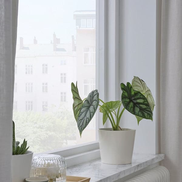 Ikea SOJABÖNA - Plant pot, white, 12 cm