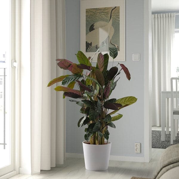 Ikea SOJABÖNA - Plant pot, white, 24 cm