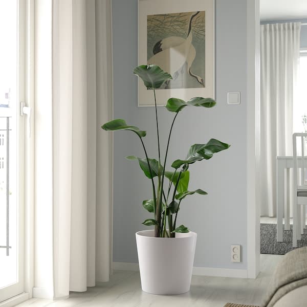 Ikea SOJABÖNA - Plant pot, white, 32 cm