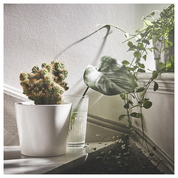 Ikea SOJABÖNA - Plant pot, white, 15 cm