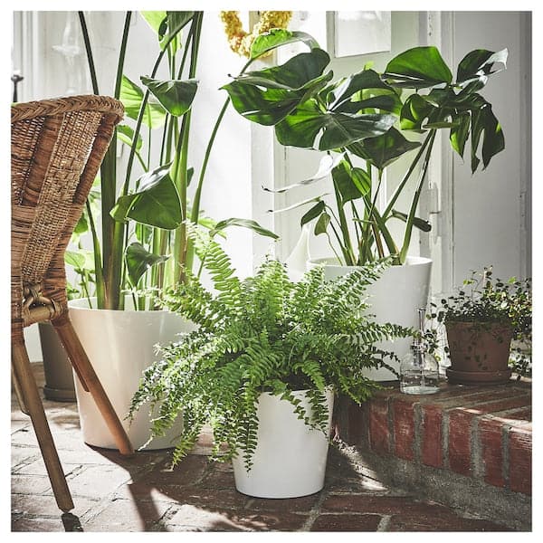 Ikea SOJABÖNA - Plant pot, white, 24 cm