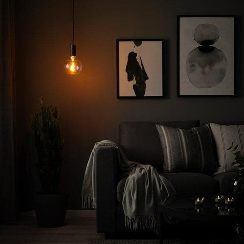 SUNNEBY / MOLNART - Pendant lamp with bulb, black / multicoloured elliptical shape ,