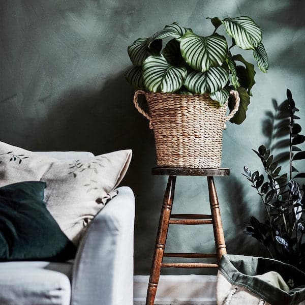 Ikea TÖRNBÄR - Plant pot, banana fibre handmade, 32 cm