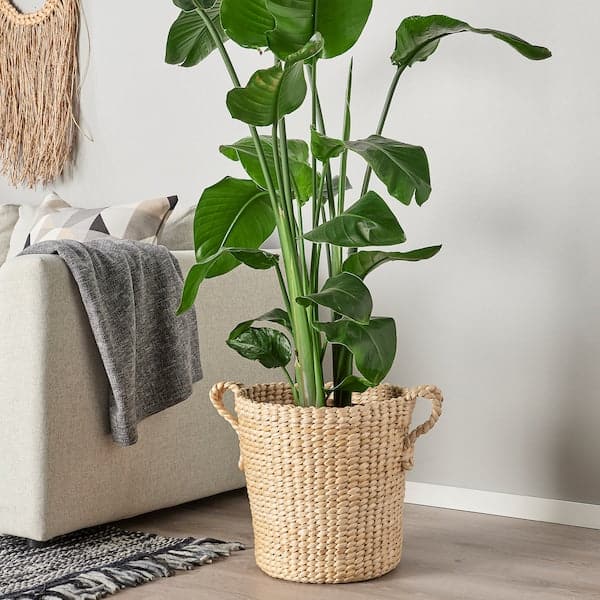 Ikea TÖRNBÄR - Plant pot, banana fibre handmade, 32 cm