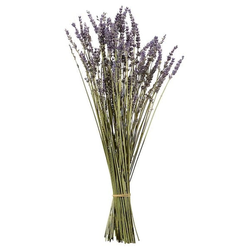 TUNTRÄD Dried Bouquet, Lavender, 40 cm
