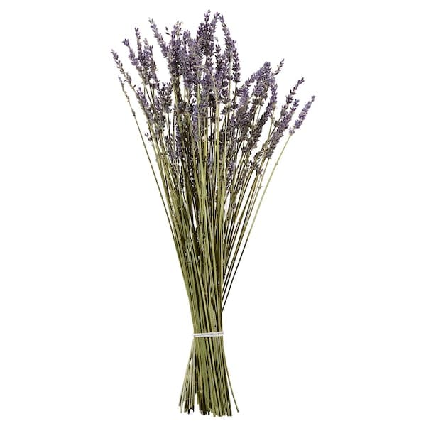 TUNTRÄD Dried Bouquet, Lavender, 40 cm - best price from Maltashopper.com 40536170