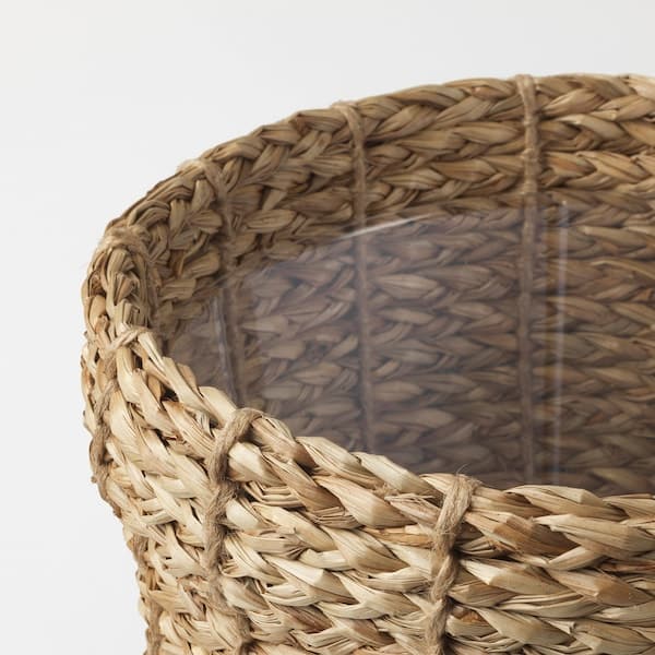 Ikea VALLMOFRÖN - Planter, herbaceous plant, 19 cm
