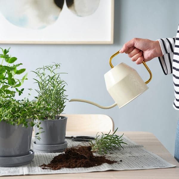 VATTENKRASSE - Watering can, ivory/gold-colour, 0.9 l - best price from Maltashopper.com 40394118